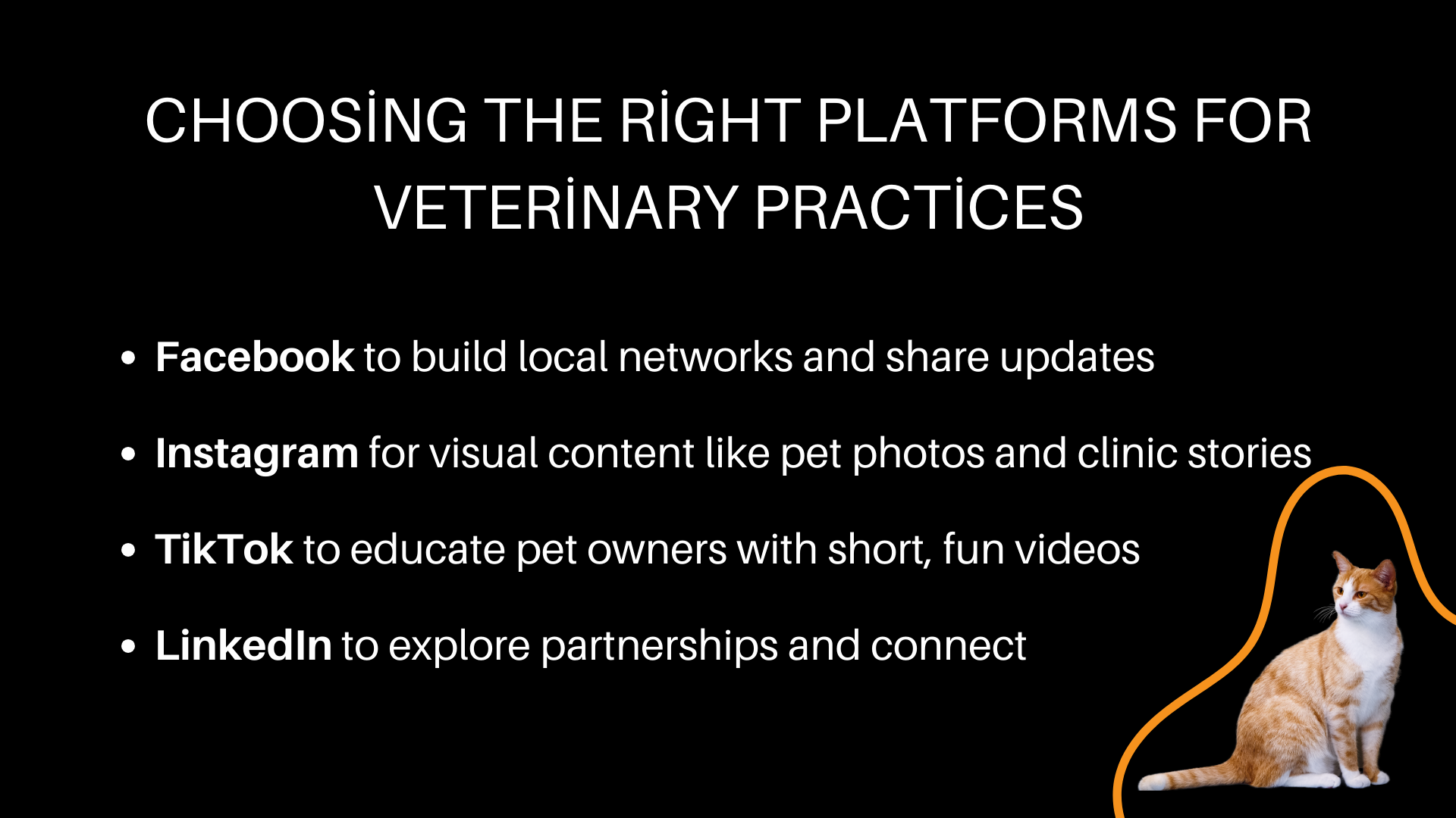 veterinary marketing services